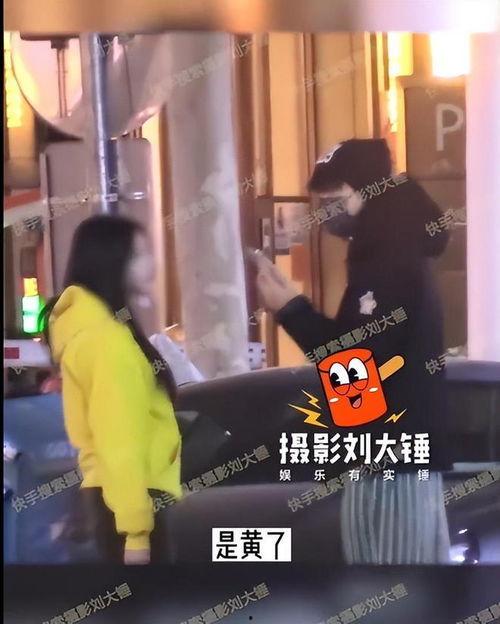 刘大锤爆料王鹤立视频,揭秘背后惊人内幕 第3张 刘大锤爆料王鹤立视频,揭秘背后惊人内幕 第3张
