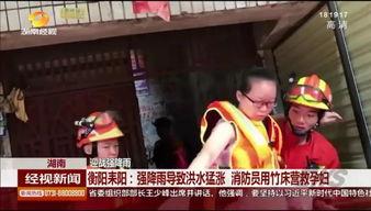湖南经视荡寇在线观看,揭秘荡寇传奇,共赏英雄风采 第3张 湖南经视荡寇在线观看,揭秘荡寇传奇,共赏英雄风采 第3张