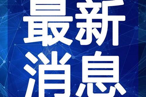 阿姆最新爆料新闻视频在线观看,揭秘娱乐圈惊人内幕